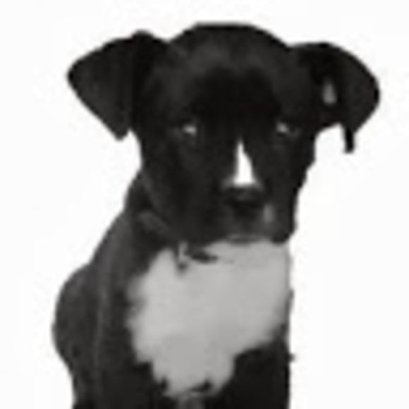 Meet your Posher, Betty - Picture 1 of 1